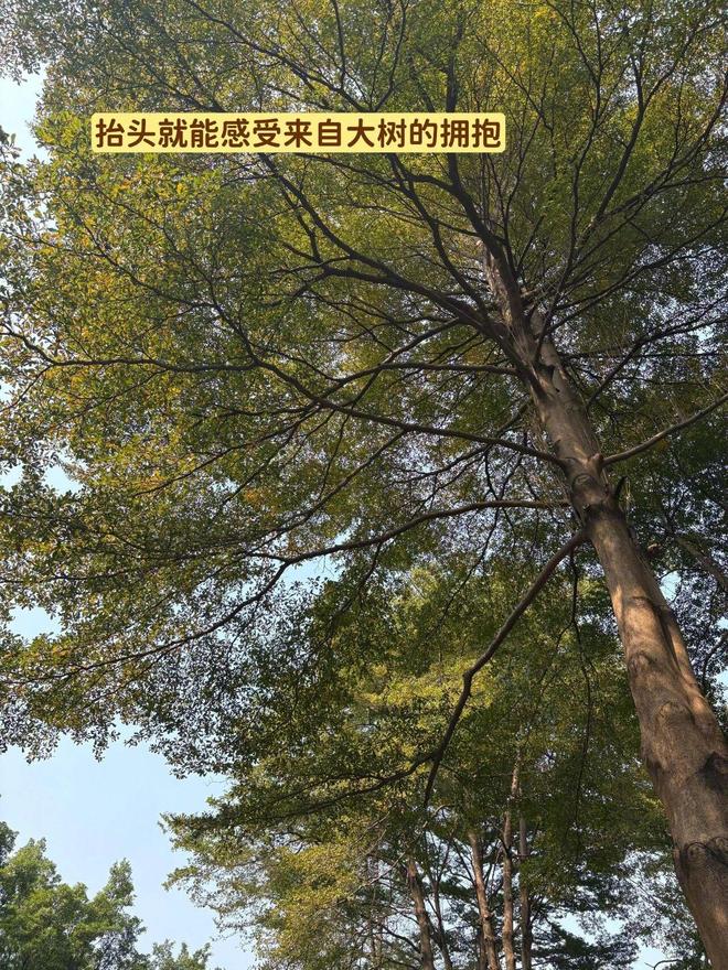 焦点登录：看了鲁豫对章小蕙的采访，最大感触是这一点