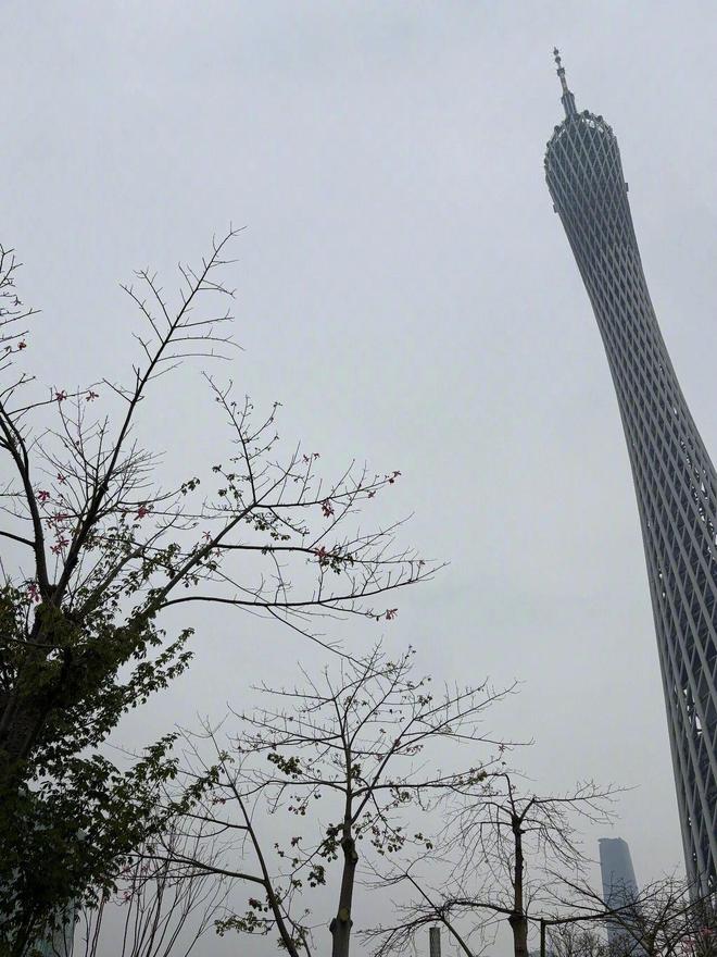 焦点登录：看了鲁豫对章小蕙的采访，最大感触是这一点